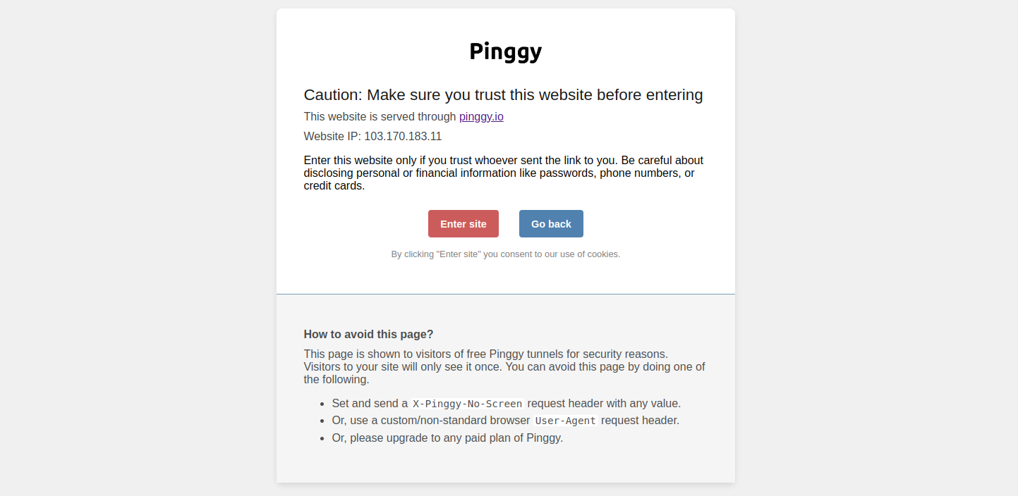 Free HTTP tunnels have an initial caution page to indicate that the webpage has been hosted through Pinggy.