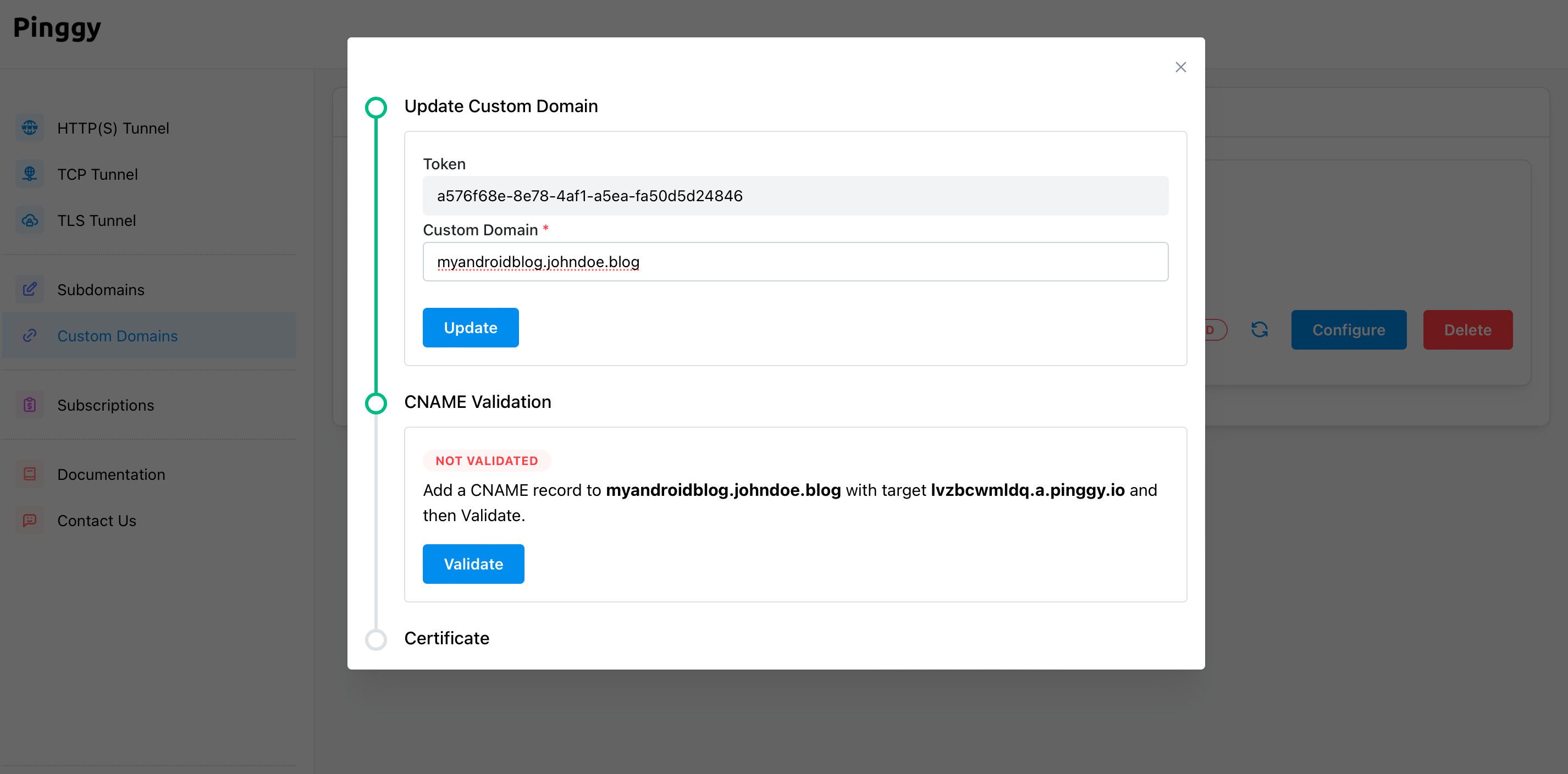 Pinggy custom domain configuration page