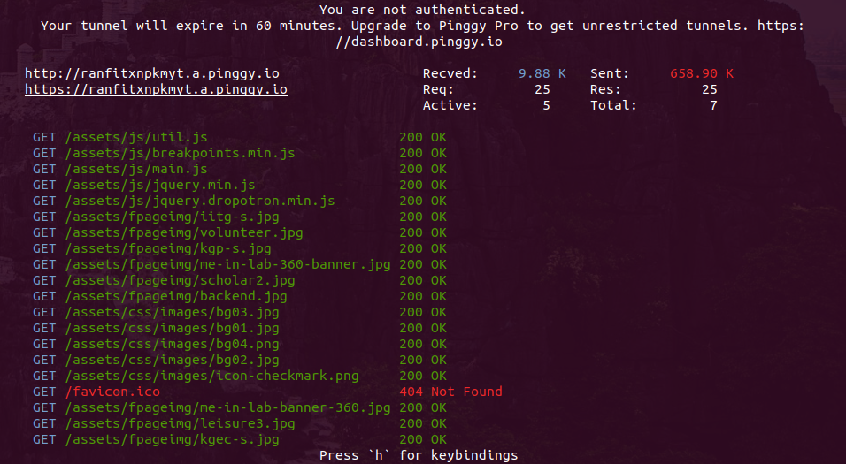 Host name manipulation with pty